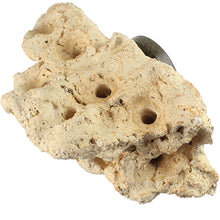 Load image into Gallery viewer, Tunze Coral Rack