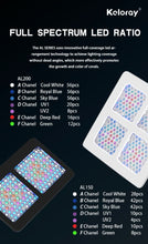 Load image into Gallery viewer, Coral Light AL