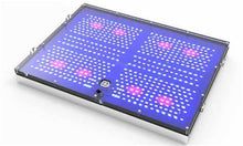 Carregar imagem no visualizador da galeria, GNC Led Italia BluRay