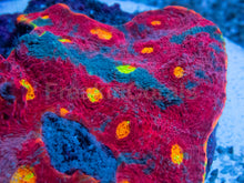 Carregar imagem no visualizador da galeria, SC Rainbow Dynamite Chalice (Cut-to-Order)