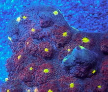 Load image into Gallery viewer, Solar Eclipse Chalice