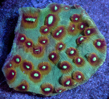 Load image into Gallery viewer, Cosmic Eye Chalice (Cut-To-Order)