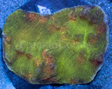 Carregar imagem no visualizador da galeria, Galactic Invader Chalice