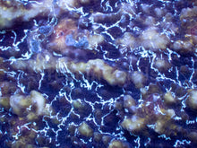 Load image into Gallery viewer, Electric Storm Chalice