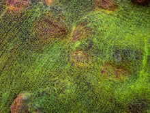 Carregar imagem no visualizador da galeria, Galactic Invader Chalice