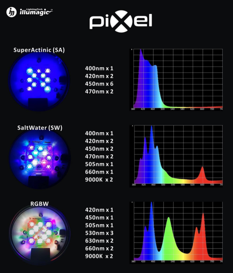 Illumagic Pixel – freakincorals.com