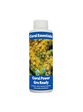 Load image into Gallery viewer, Coral Power