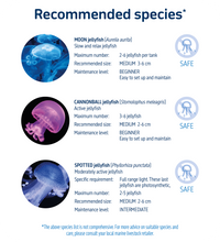 Load image into Gallery viewer, TMC Kreisel