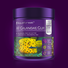 Load image into Gallery viewer, AF Calanidae Clip - freakincorals.com