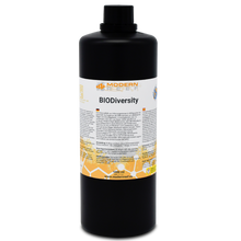 Load image into Gallery viewer, Modern Reef - BIODiversity