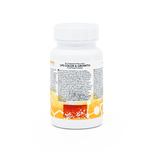 Load image into Gallery viewer, LPS Color & Growth (Micro-Pearl)