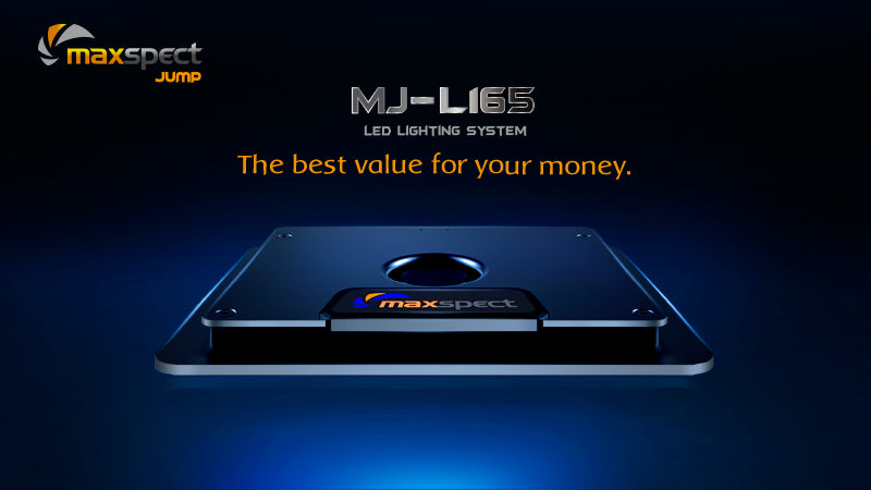 Maxspect MJ-L165 – freakincorals.com