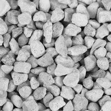 Load image into Gallery viewer, De❊Nitrate - freakincorals.com