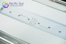 Carregar imagem no visualizador da galeria, Pacific Sun Pandora Hyperion - freakincorals.com