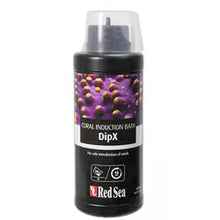 Carregar imagem no visualizador da galeria, Red Sea DIP X - freakincorals.com
