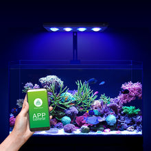 Load image into Gallery viewer, WeekAqua Z Series - freakincorals.com