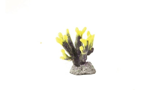 Horn Yellow/Purple Hydnophora sp. 7.5 x 7 x 8cm Natureform Coral 9736