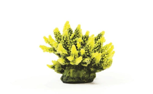 Staghorn Yellow/Green Acropora sp. 11.5 x 10 x 9cm Natureform Coral - 9744