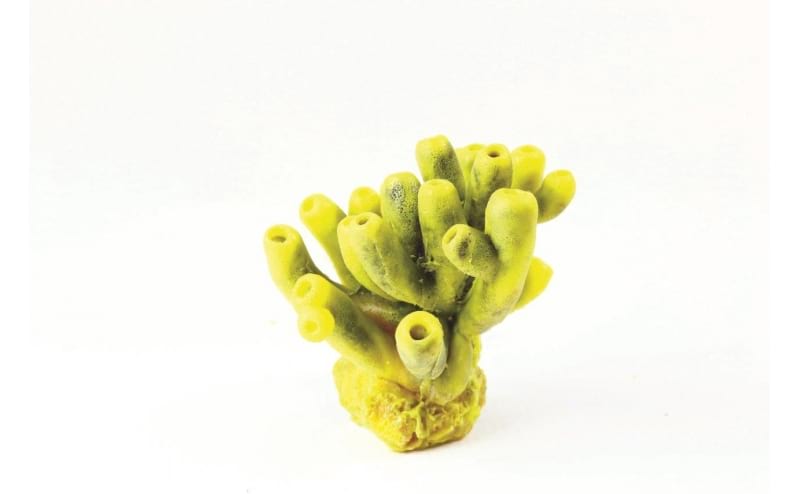 Mini Tube Sponge Y/Pu Yell/Purp Theonella sp. 10 x 9 Natureform Coral - 9757