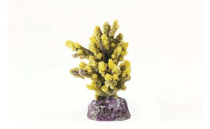 Natureform Coral Staghorn Yellow/Purple Acropora sp. 8 x 7 x 10cm - 9758