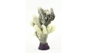 Natureform Coral Staghorn White/Green Acropora sp. 17 x 13.5 x 21.5cm - 9775