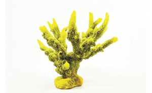 Natureform Coral Staghorn Branch Yellow/Purple Acropora sp. 20 x 16 x 16cm - 9776