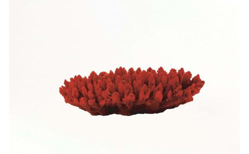 Natureform Coral Staghorn Red/Purple Acropora sp. 21 x 16 x 5cm - 9778