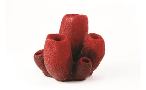 Natureform Coral Vase Sponge Red/Purple Mycale sp. 12.5 x 12 x 11cm - 9781