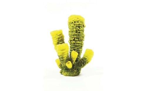 Natureform Coral Tube Sponge Yellow/Green Aplysina sp. 15 x 13 x 18.2cm - 9782