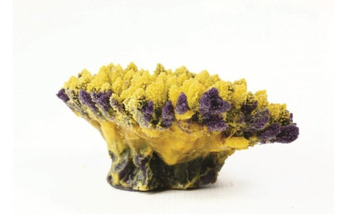 Staghorn Yellow/Purple Acropora sp. 21 x 15 x 9cm Natureform Coral - 9783