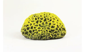 Pineapple Yellow/Purple Favites sp. 17 x 16 x 9cm Natureform Coral - 9784