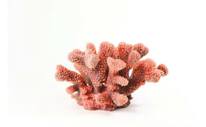 Cauliflower Red Pocillopora sp. 24 x 21 x 13.5 Natureform Coral - 9785