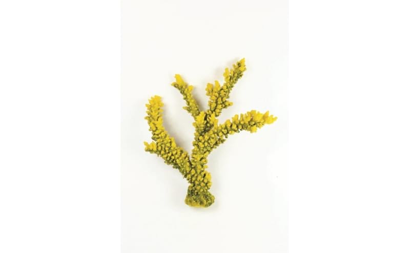 Staghorn Branch Y/G Yellow/Green Acropora sp. 35 x Natureform Coral - 9786