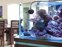 Carregar imagem no visualizador da galeria, Ecotech Vortech Circulation Pumps - freakincorals.com