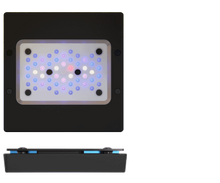 Carregar imagem no visualizador da galeria, RADION G6 BLUE XR30/XR15