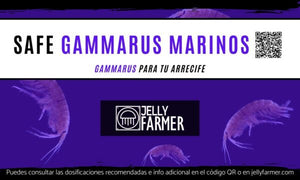 Safe Gammarus