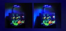 Load image into Gallery viewer, MAXSPECT JUMP  LED SERIES