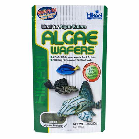 Hikari - Algea Wafers