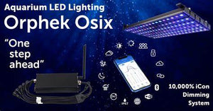 ORPHEK OSIX Smart dim controller