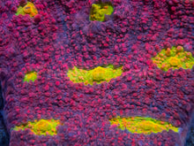 Load image into Gallery viewer, Jason Fox Pink Boobies Chalice – XL Frag