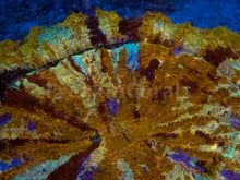 Carregar imagem no visualizador da galeria, FK Gold Shadows Acantophyllia