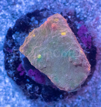 Carregar imagem no visualizador da galeria, Sunrise Mist Chalice