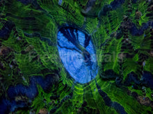 Load image into Gallery viewer, Acanthophyllia deshayesiana “Green Glass with Blue Mouth”