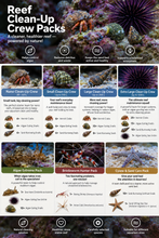 Carregar imagem no visualizador da galeria, Cleaning Crew Packs - freakincorals.com