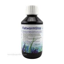 Korallen-Zucht FlatwormStop