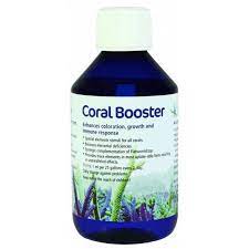 Korallen-Zucht Coral Booster