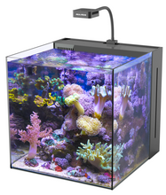 Carregar imagem no visualizador da galeria, Nano Reef Tank - Yasha Series
