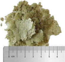 Carregar imagem no visualizador da galeria, Veggie Marine Flakes 30g - freakincorals.com