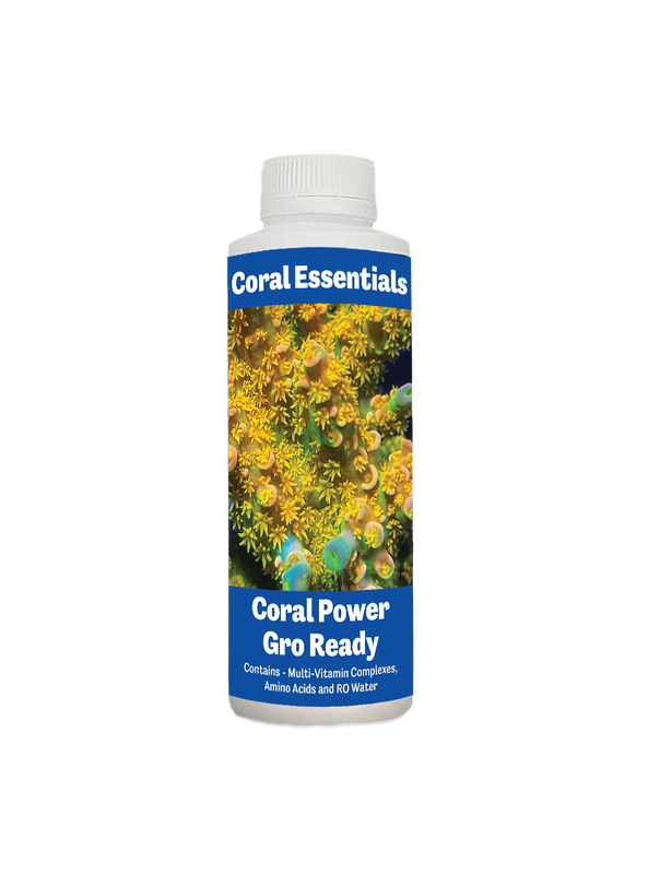 Coral Power