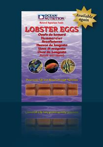 Ocean Nutrition - Lobster Eggs
